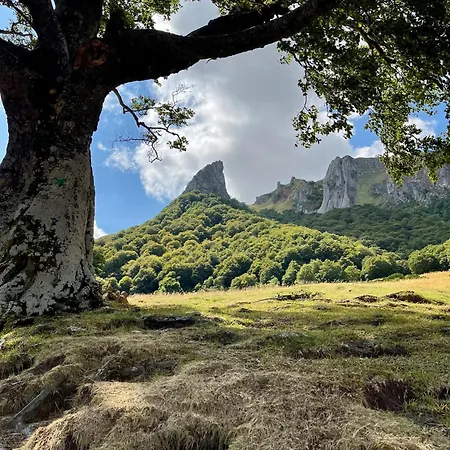 La Lisiere Des Fees - Les Elfes -