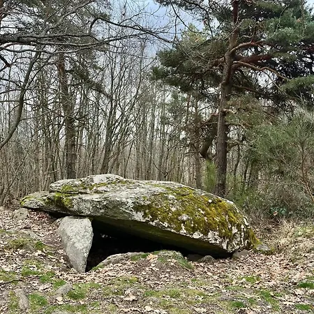 La Lisiere Des Fees - Les Elfes - Lägenhet *